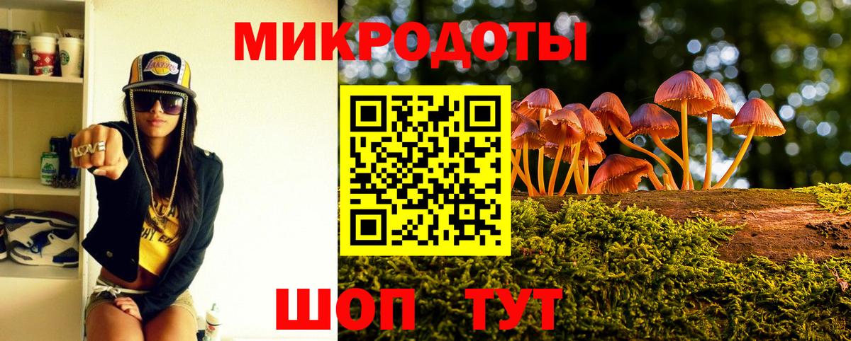 Псилоцибиновые грибы Psilocybe Луга