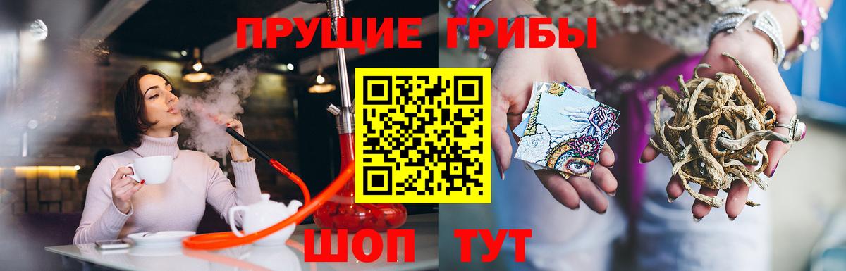 Луга  Псилоцибиновые грибы Psilocybe  Вход с VPN 